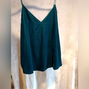 Express Green Velvet Top